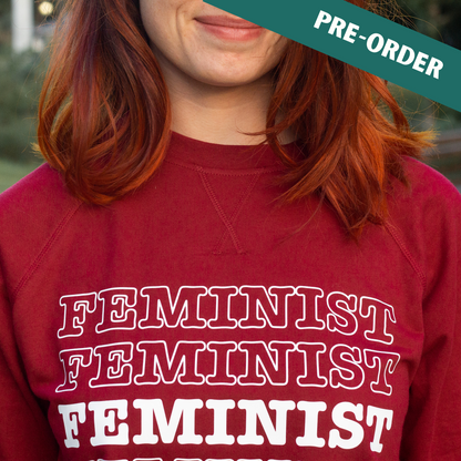 Feminist...Sex Education • Raglan Shirt