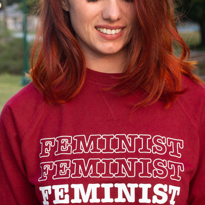 Feminist...Sex Education • Raglan Shirt